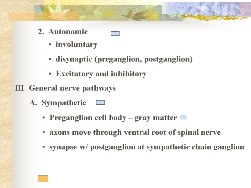 2.  Autonomic   involuntary   disynaptic (preganglion, postganglion)   Excitatory